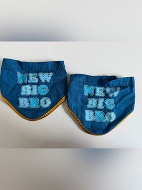 Blue 'New Big Bro' Dog Bandana with Gold Trim